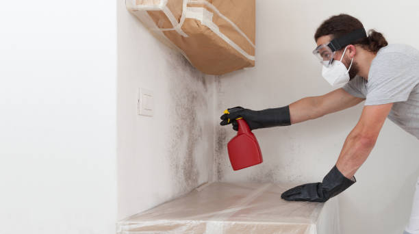 Professional Mold Testing technician working in Schoolcraft, MI