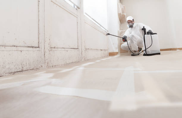 24/7 Emergency Mold Testing experts in Schoolcraft, MI
