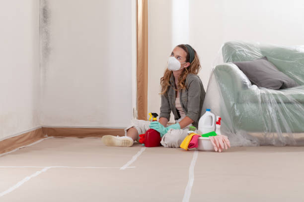 Reliable Mold Testing contractor in Schoolcraft, MI by WQB Mold Removal