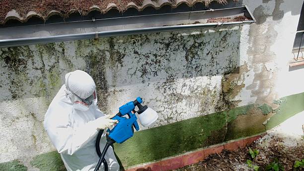 Top rated local Mold Testing specialists in Schoolcraft, MI